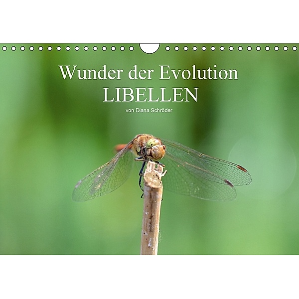 Wunder der Evolution Libellen (Wandkalender 2018 DIN A4 quer) Dieser erfolgreiche Kalender wurde dieses Jahr mit gleiche, Diana Schröder