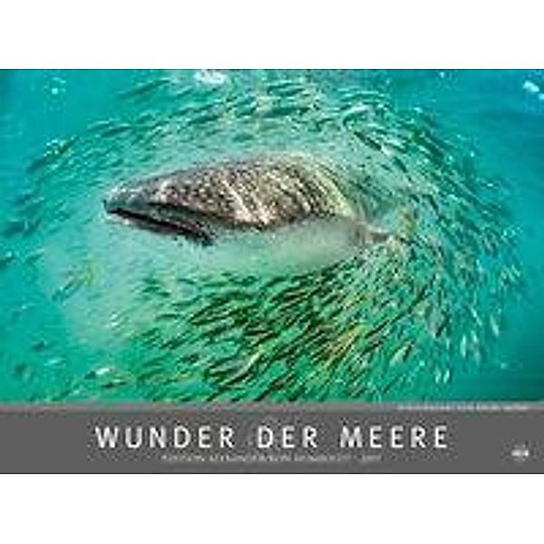 Wunder der Meere 2017, Brian Skerry