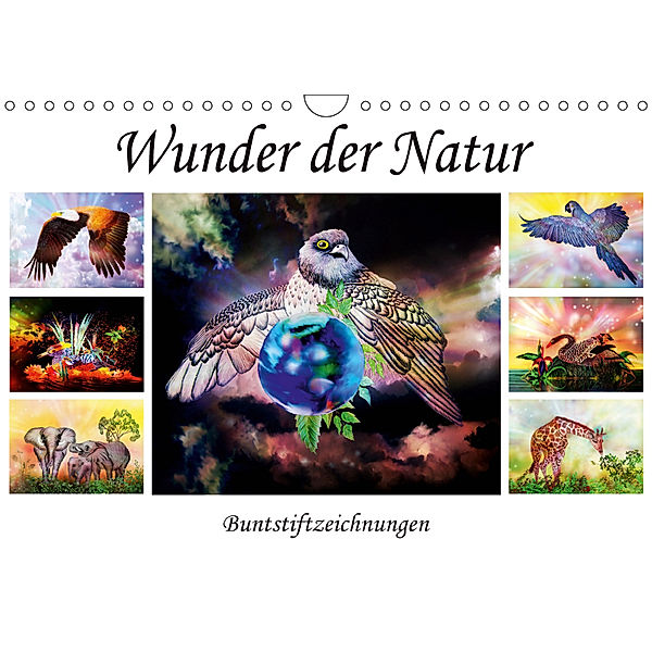 Wunder der Natur - Buntstiftzeichnungen (Wandkalender 2019 DIN A4 quer), Dusanka Djeric