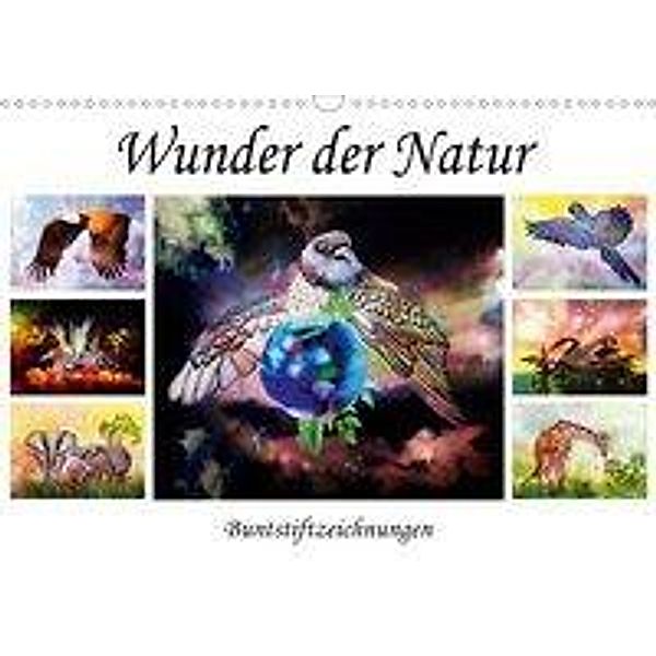 Wunder der Natur - Buntstiftzeichnungen (Wandkalender 2020 DIN A3 quer), Dusanka Djeric