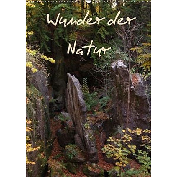 Wunder der Natur (Wandkalender 2015 DIN A2 hoch), Uwe Bernds