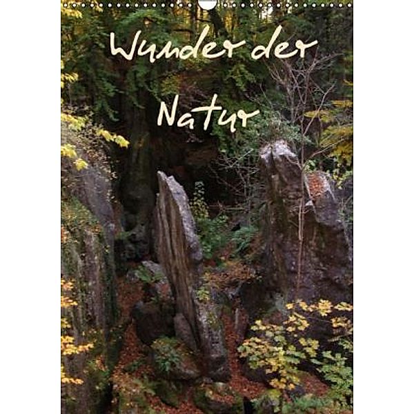 Wunder der Natur (Wandkalender 2015 DIN A3 hoch), Uwe Bernds