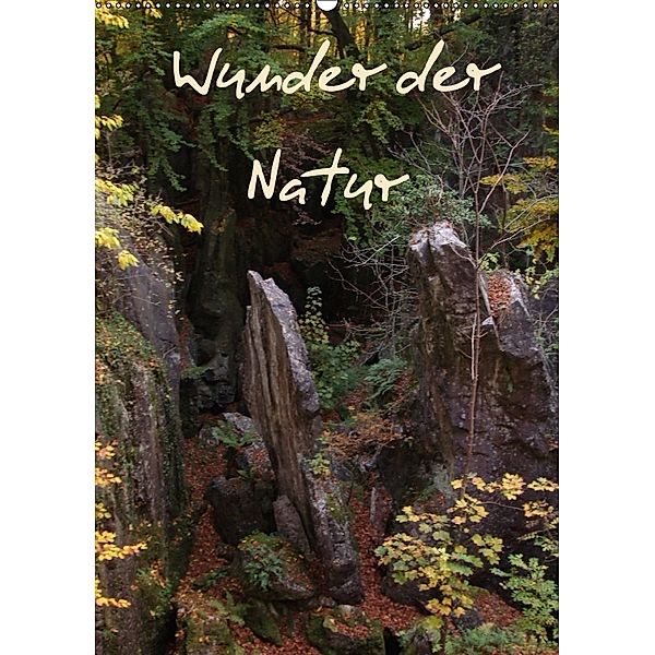 Wunder der Natur (Wandkalender 2018 DIN A2 hoch), Uwe Bernds