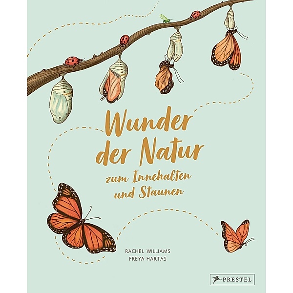 Wunder der Natur zum Innehalten und Staunen, Rachel Williams, Freya Hartas