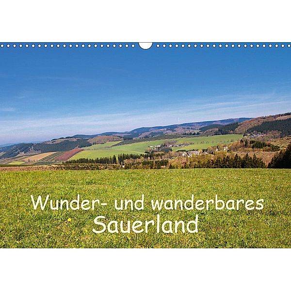 Wunder- und wanderbares Sauerland (Wandkalender 2020 DIN A3 quer), Brigitte Dürr