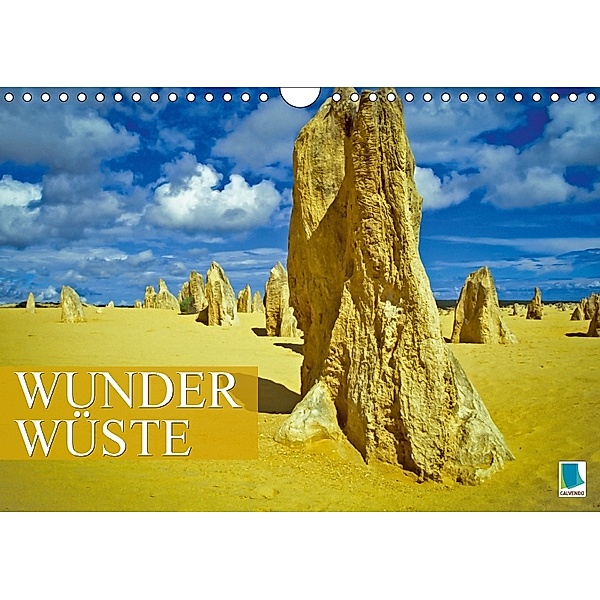 Wunder Wüste (Wandkalender 2018 DIN A4 quer), CALVENDO