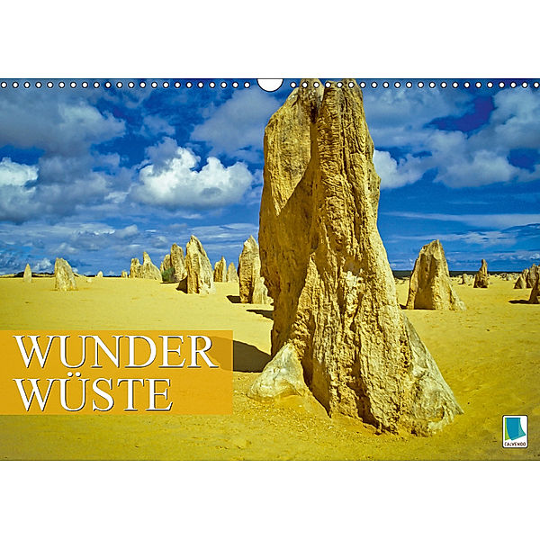 Wunder Wüste (Wandkalender 2019 DIN A3 quer), CALVENDO