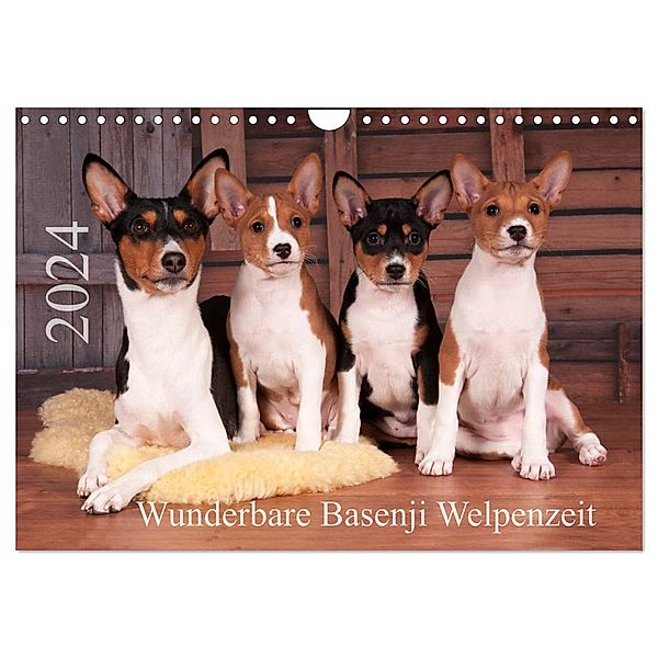 Wunderbare Basenji Welpenzeit (Wandkalender 2024 DIN A4 quer), CALVENDO Monatskalender, Angelika Joswig