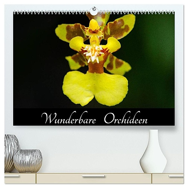 Wunderbare Orchideen (hochwertiger Premium Wandkalender 2024 DIN A2 quer), Kunstdruck in Hochglanz, Jürgen Wöhlke