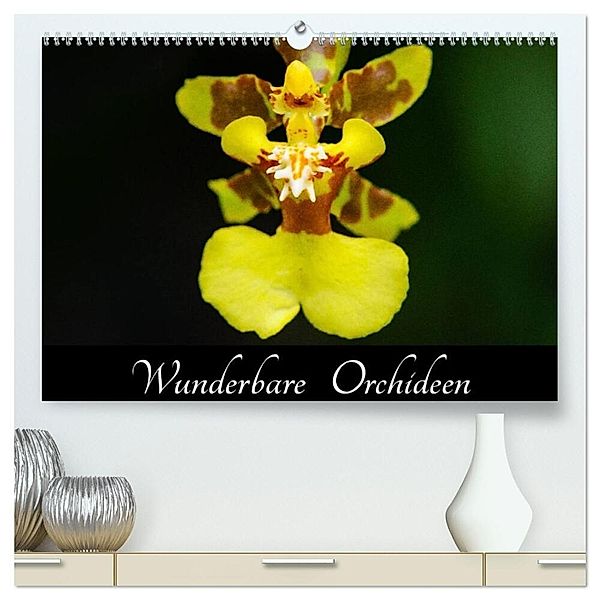 Wunderbare Orchideen (hochwertiger Premium Wandkalender 2024 DIN A2 quer), Kunstdruck in Hochglanz, Jürgen Wöhlke