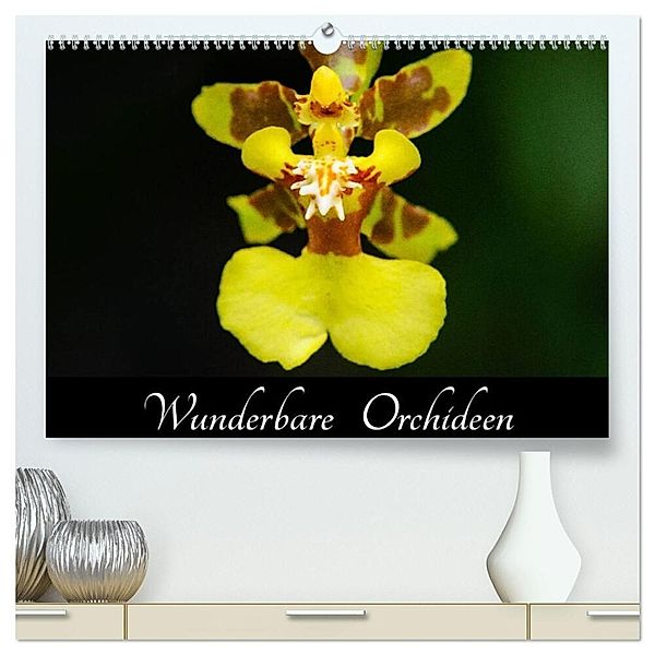 Wunderbare Orchideen (hochwertiger Premium Wandkalender 2025 DIN A2 quer), Kunstdruck in Hochglanz, Calvendo, Jürgen Wöhlke