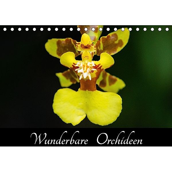 Wunderbare Orchideen (Tischkalender 2018 DIN A5 quer), Jürgen Wöhlke