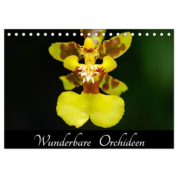 Wunderbare Orchideen (Tischkalender 2024 DIN A5 quer), CALVENDO Monatskalender, Jürgen Wöhlke