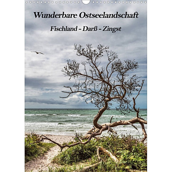 Wunderbare Ostseelandschaft Fischland-Darß-Zingst (Wandkalender 2022 DIN A3 hoch), Natalja Thomas