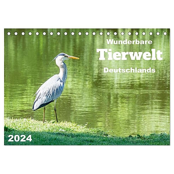 Wunderbare Tierwelt Deutschlands (Tischkalender 2024 DIN A5 quer), CALVENDO Monatskalender, Angela Rohde