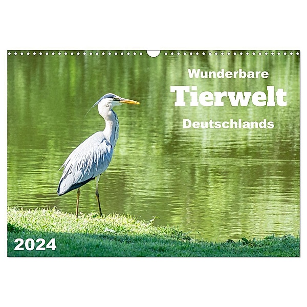 Wunderbare Tierwelt Deutschlands (Wandkalender 2024 DIN A3 quer), CALVENDO Monatskalender, Angela Rohde