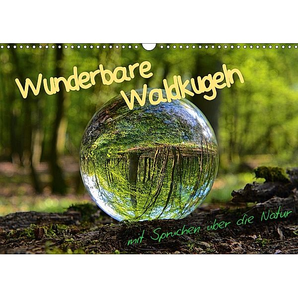 Wunderbare Waldkugeln (Wandkalender 2020 DIN A3 quer), Ilona Stark-Hahn