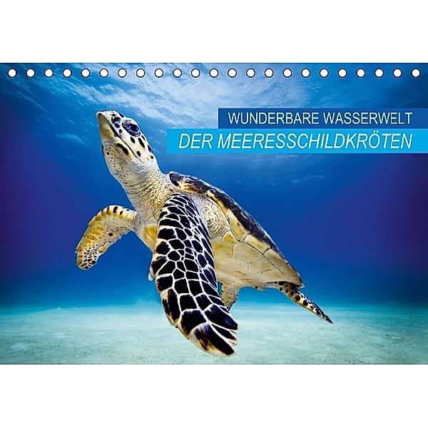 Wunderbare Wasserwelt der Meeresschildkröten (Tischkalender 2014 DIN A5 quer), Calvendo