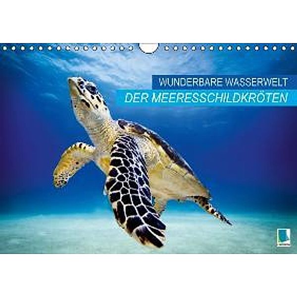 Wunderbare Wasserwelt der Meeresschildkröten (Wandkalender 2016 DIN A4 quer), Calvendo