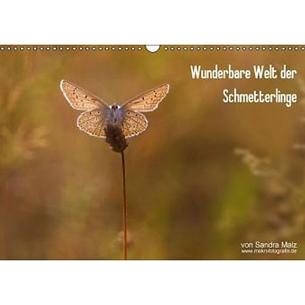 Wunderbare Welt der Schmetterlinge (Wandkalender 2016 DIN A3 quer), Sandra Malz