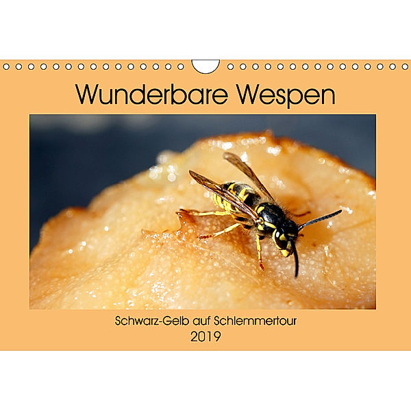 Wunderbare Wespen - Schwarz-Gelb auf Schlemmertour (Wandkalender 2019 DIN A4 quer), Henning von Löwis of Menar