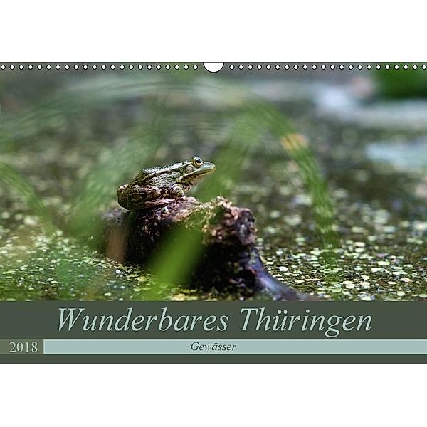 Wunderbares Thüringen - Gewässer (Wandkalender 2018 DIN A3 quer), Flori0