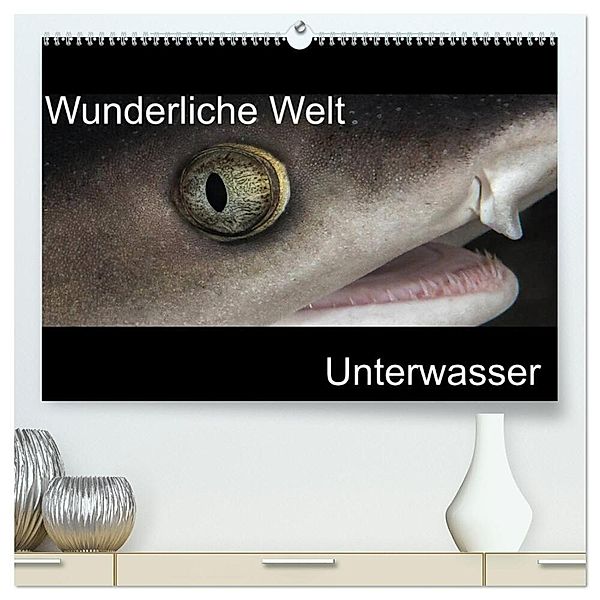 Wunderliche Welt Unterwasser (hochwertiger Premium Wandkalender 2024 DIN A2 quer), Kunstdruck in Hochglanz, Markus Bucher