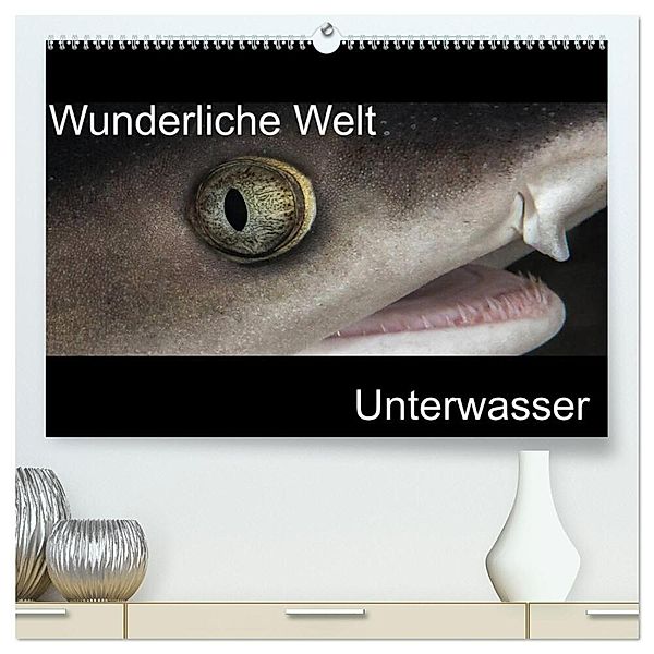 Wunderliche Welt Unterwasser (hochwertiger Premium Wandkalender 2025 DIN A2 quer), Kunstdruck in Hochglanz, Calvendo, Markus Bucher