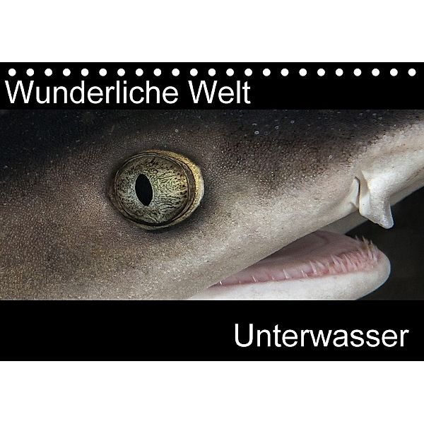 Wunderliche Welt Unterwasser (Tischkalender 2018 DIN A5 quer), Markus Bucher