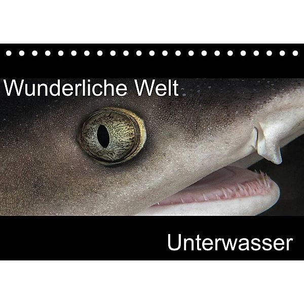 Wunderliche Welt Unterwasser (Tischkalender 2023 DIN A5 quer), Markus Bucher