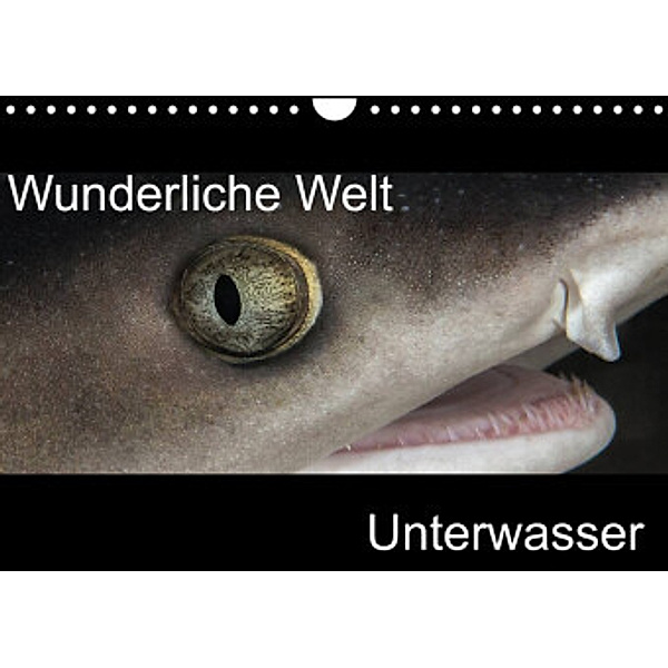 Wunderliche Welt Unterwasser (Wandkalender 2022 DIN A4 quer), Markus Bucher
