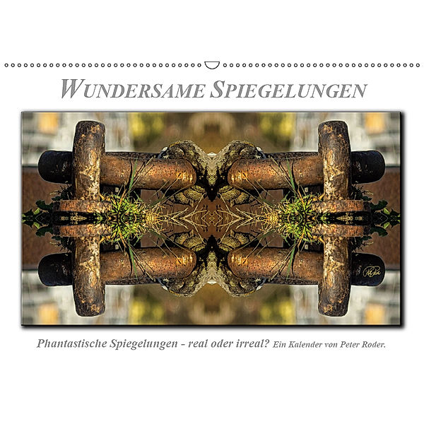 Wundersame Spiegelungen (Wandkalender 2019 DIN A2 quer), Peter Roder