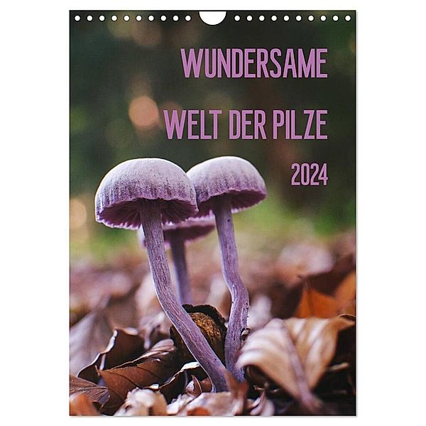 Wundersame Welt der Pilze (Wandkalender 2024 DIN A4 hoch), CALVENDO Monatskalender, Conny Naumann