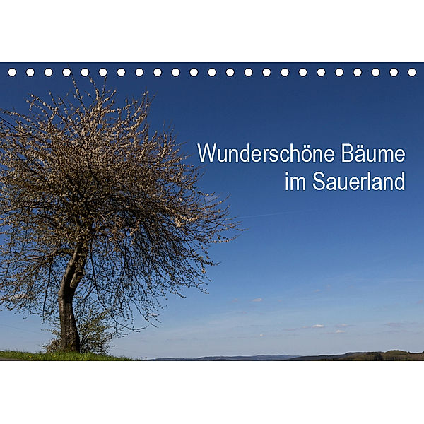 Wunderschöne Bäume im Sauerland (Tischkalender 2019 DIN A5 quer), Simone Rein