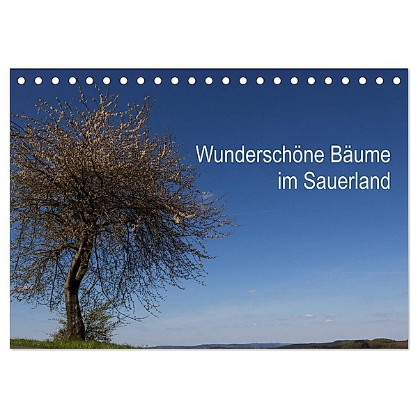Wunderschöne Bäume im Sauerland (Tischkalender 2024 DIN A5 quer), CALVENDO Monatskalender, Simone Rein