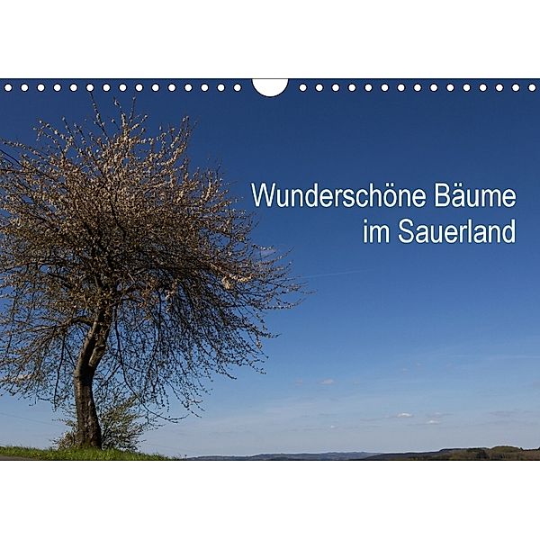 Wunderschöne Bäume im Sauerland (Wandkalender 2018 DIN A4 quer) Dieser erfolgreiche Kalender wurde dieses Jahr mit gleic, Simone Rein