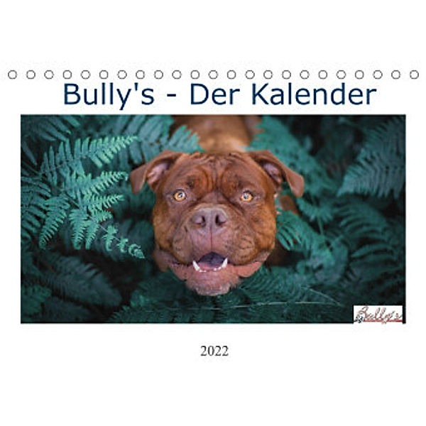 Wunderschöne Bulldoggen (Tischkalender 2022 DIN A5 quer), Power Video Verlags GmbH