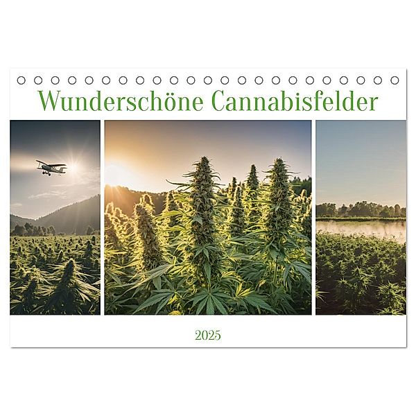 Wunderschöne Cannabisfelder (Tischkalender 2025 DIN A5 quer), CALVENDO Monatskalender, Calvendo, Stanley Hinz