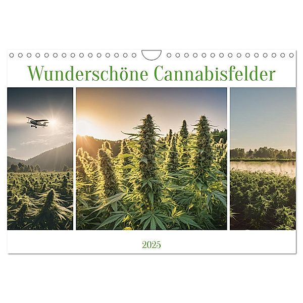 Wunderschöne Cannabisfelder (Wandkalender 2025 DIN A4 quer), CALVENDO Monatskalender, Calvendo, Stanley Hinz