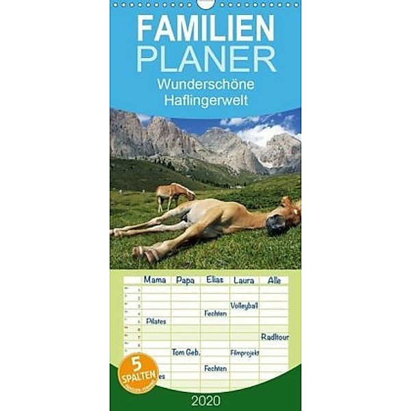 Wunderschöne Haflingerwelt - Familienplaner hoch (Wandkalender 2020 , 21 cm x 45 cm, hoch), Michael Rucker
