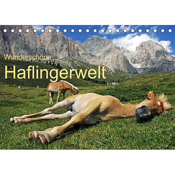 Wunderschöne Haflingerwelt (Tischkalender 2022 DIN A5 quer), Michael Rucker