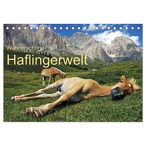 Wunderschöne Haflingerwelt (Tischkalender 2024 DIN A5 quer), CALVENDO Monatskalender, Michael Rucker