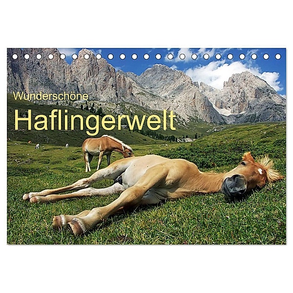 Wunderschöne Haflingerwelt (Tischkalender 2025 DIN A5 quer), CALVENDO Monatskalender, Calvendo, Michael Rucker