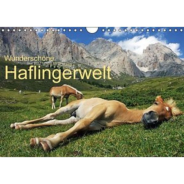 Wunderschöne Haflingerwelt (Wandkalender 2016 DIN A4 quer), Michael Rucker