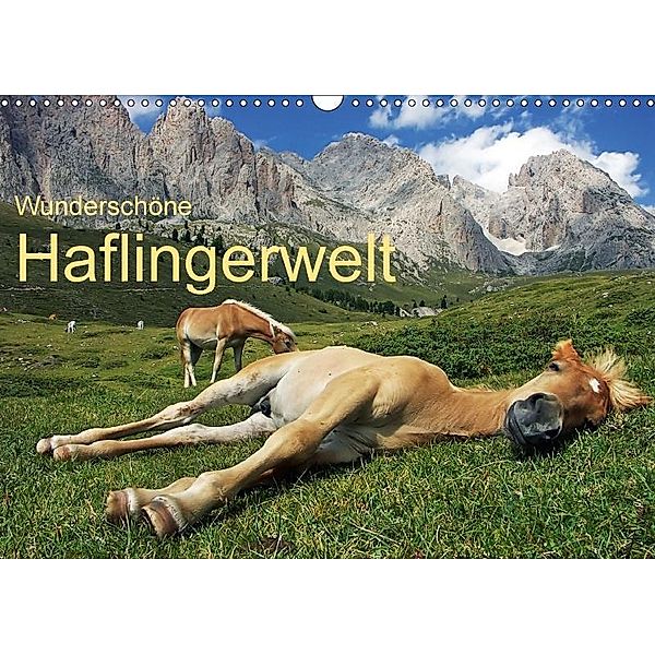 Wunderschöne Haflingerwelt (Wandkalender 2017 DIN A3 quer), Michael Rucker