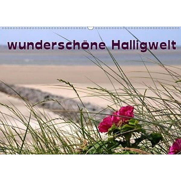 wunderschöne Halligwelt (Wandkalender 2020 DIN A2 quer), Doris Jerneinzick