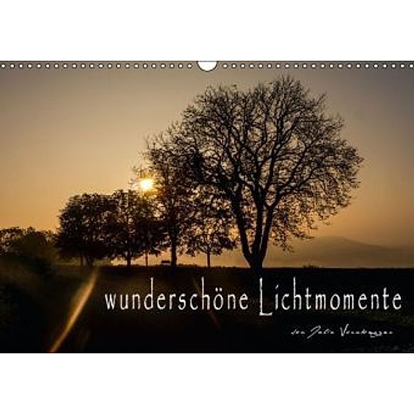 wunderschöne Lichtmomente (Wandkalender 2015 DIN A3 quer), Julia Vornberger