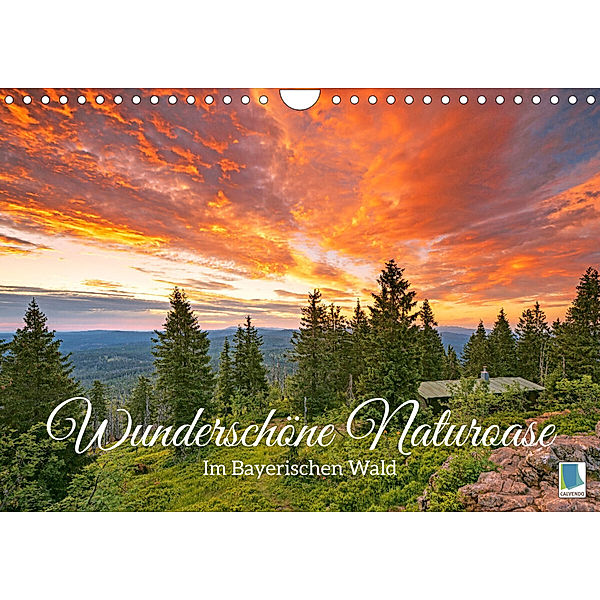 Wunderschöne Naturoase: Im Bayerischen Wald (Wandkalender 2023 DIN A4 quer), Calvendo