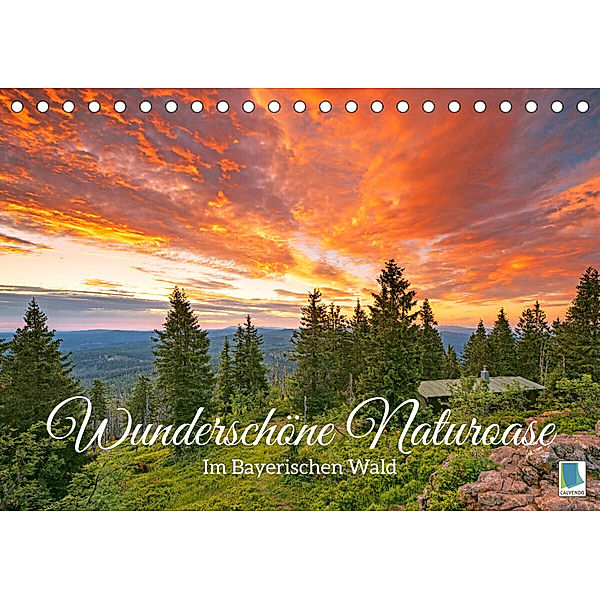 Wunderschöne Naturoase: Im Bayerischen Wald (Tischkalender 2023 DIN A5 quer), Calvendo