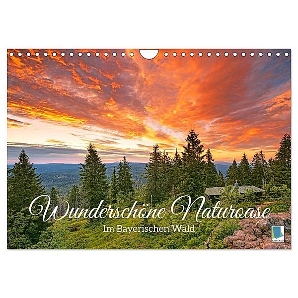 Wunderschöne Naturoase: Im Bayerischen Wald (Wandkalender 2024 DIN A4 quer), CALVENDO Monatskalender, Calvendo
